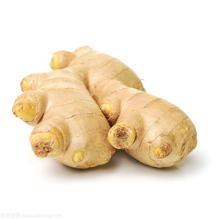Kedu ihe kpatara ginger adịchaghị ọhụrụ ji bụrụ nhọrọ ahọpụtara maka ndị na-azụ ahịa maara nke ọma?