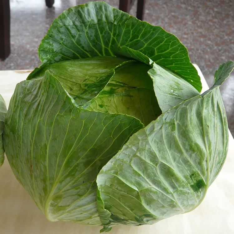 Kabeeji dị ọhụrụ