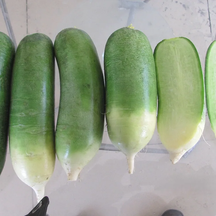 Green radish crunchy