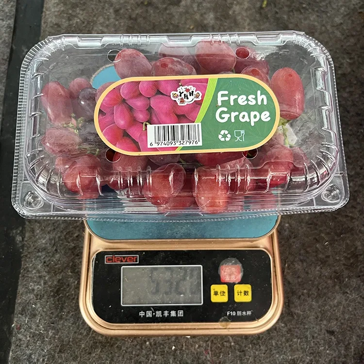 Mbupụ ọkwa ọhụrụ mkpụrụ vaịn Crimson enweghị mkpụrụ