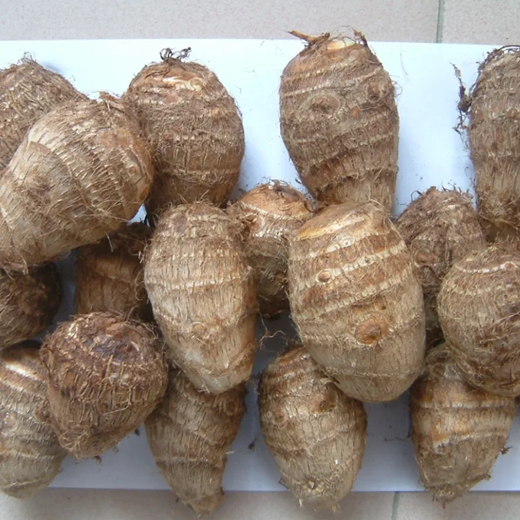 Ubi Ọhụrụ Taro