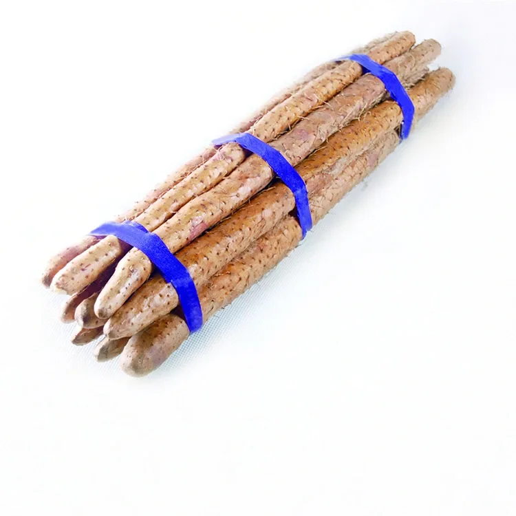 Yam China dị ọhụrụ