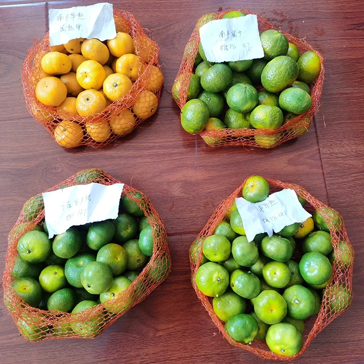 Mandarin mmanụ aṅụ ọhụrụ