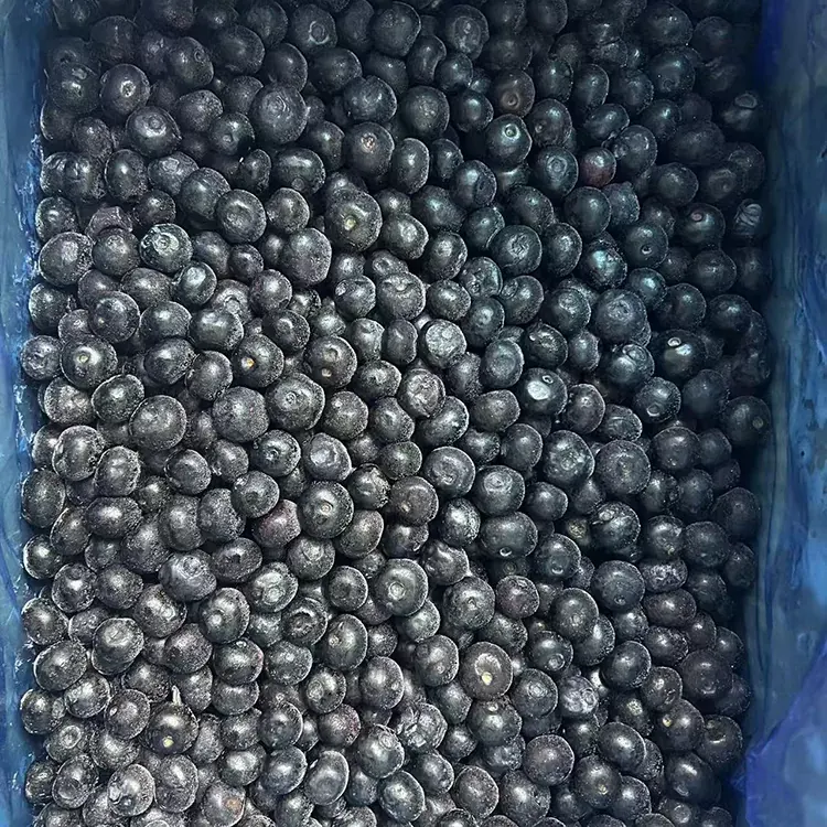 Blueberry oyi kpọnwụrụ Premium IQF blueberries