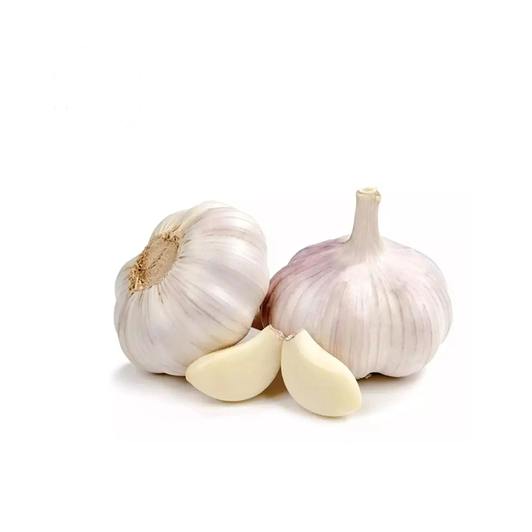 Ezigbo Firm na Plump Normal White Garlic