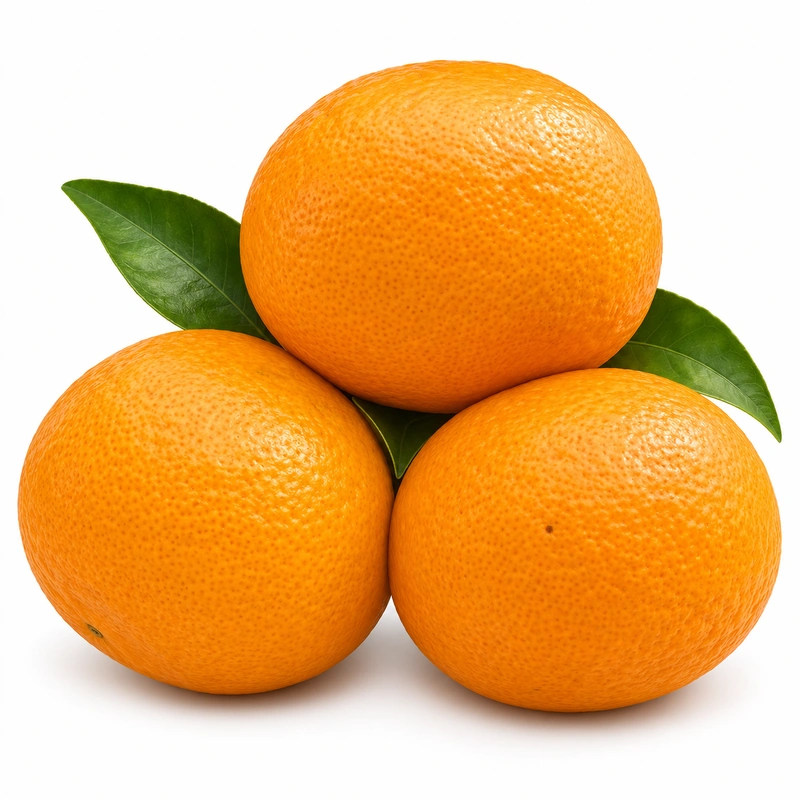 Peel oroma dị obere Aiyuan jelii dị ọhụrụ