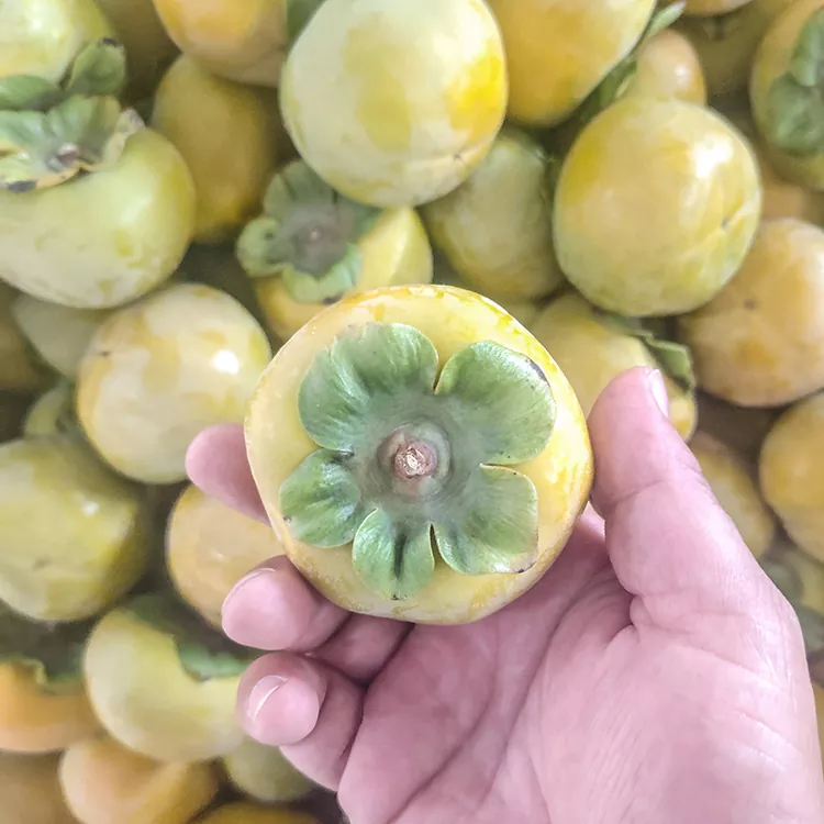 Persimmon Crisp adịchaghị