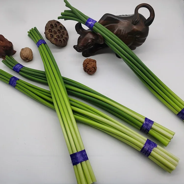 Mpempe galik dị ọhụrụ
