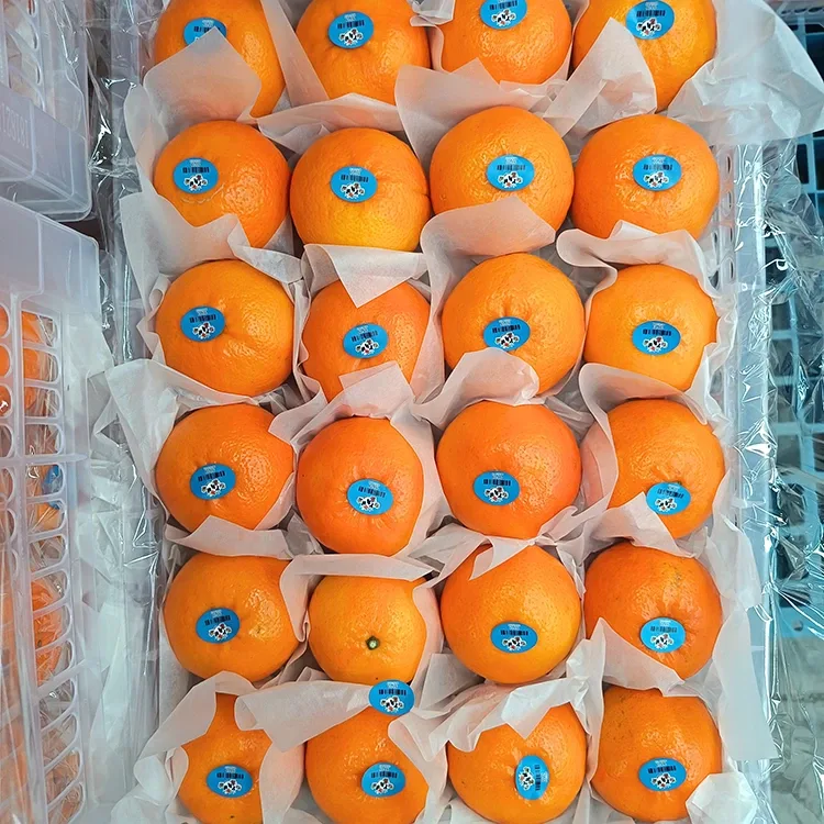 Wogan Mandarin dị ụtọ adịchaghị