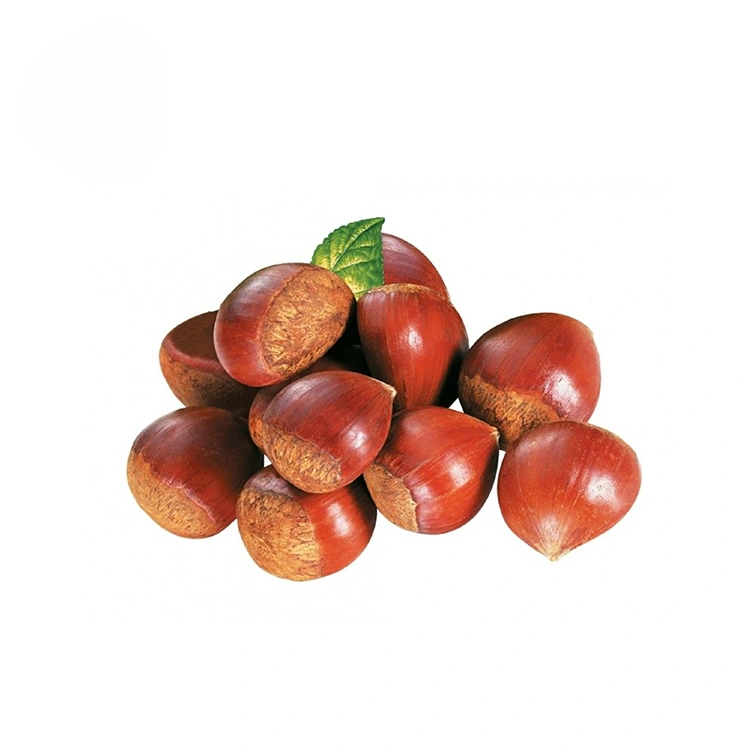 Chestnuts dị oke mma