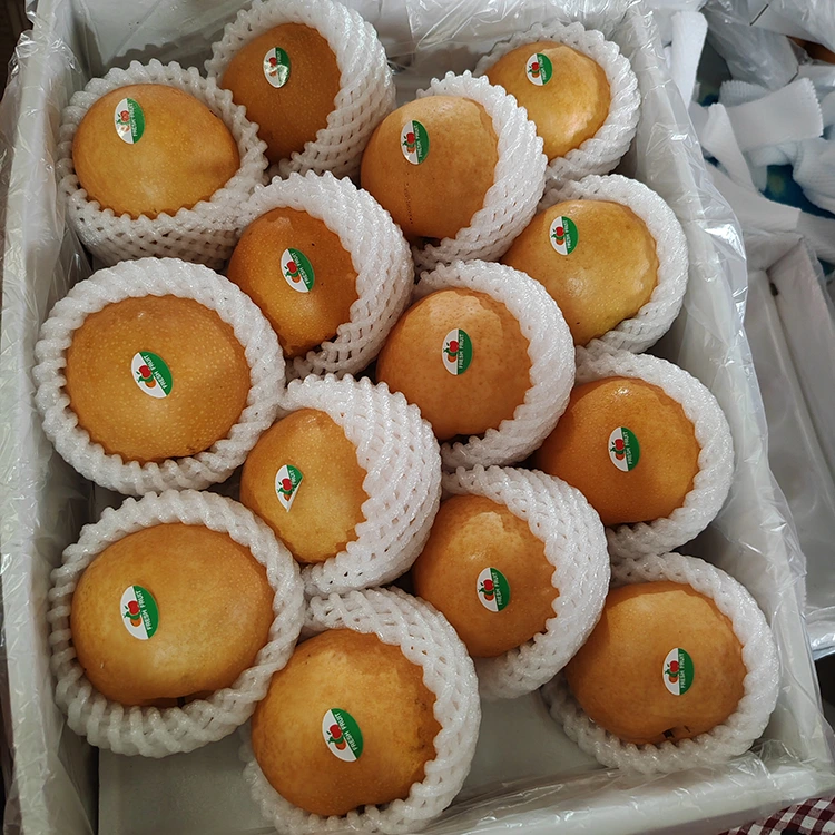 Pears Shingo adịchaghị