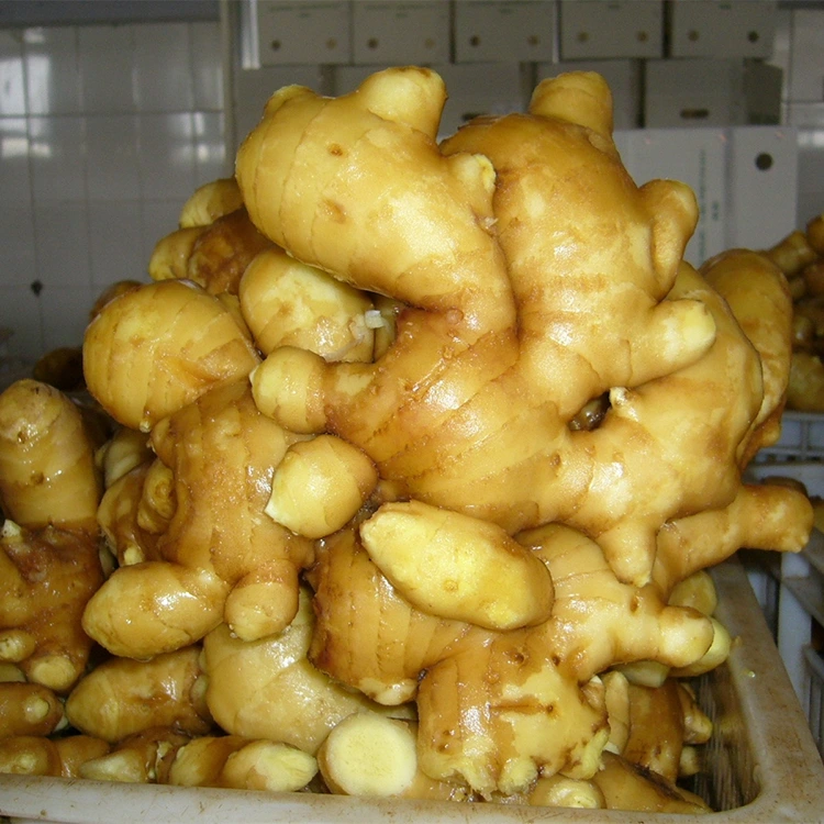 Ginger na-esi ísì ụtọ ọhụrụ