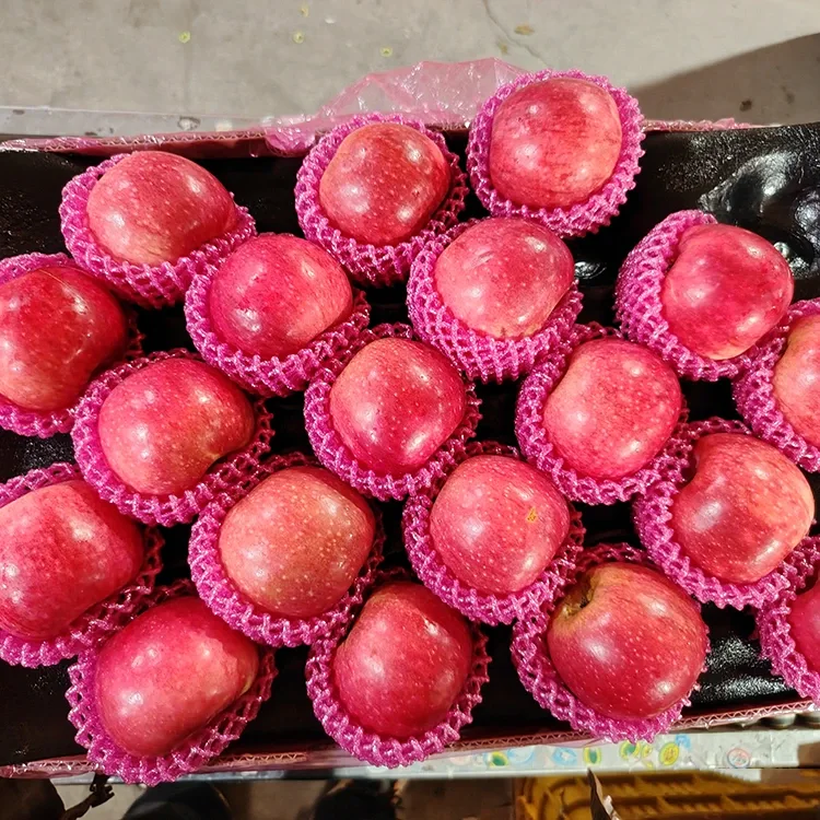 Apụl Jiguan ọhụrụ dị elu