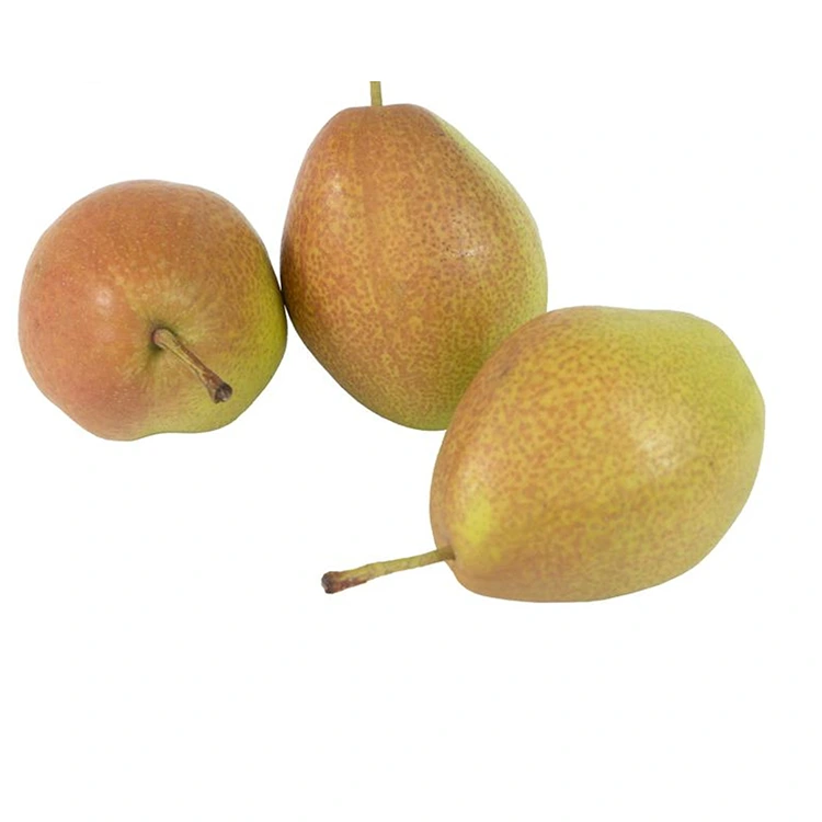 Ogo kacha mma Hongxiangsu pears