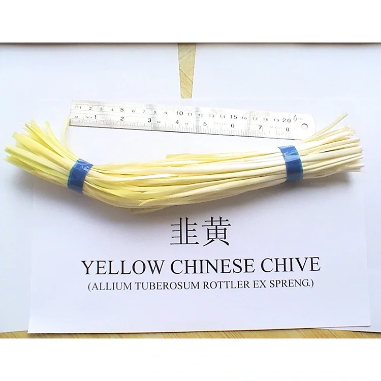 Chives odo dị nro